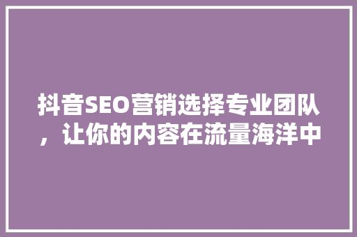 抖音SEO营销选择专业团队，让你的内容在流量海洋中乘风破浪