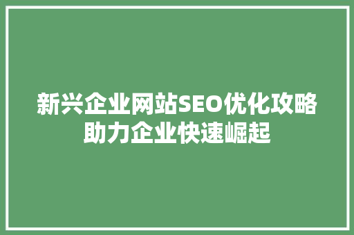 新兴企业网站SEO优化攻略助力企业快速崛起