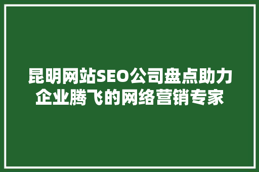 昆明网站SEO公司盘点助力企业腾飞的网络营销专家