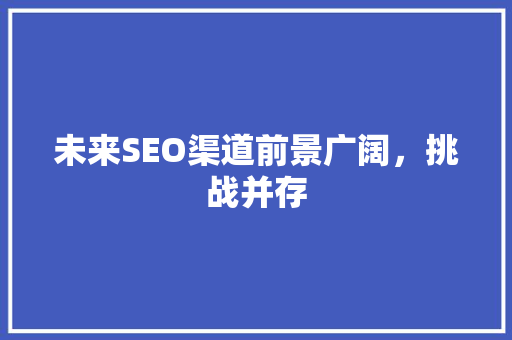 未来SEO渠道前景广阔，挑战并存