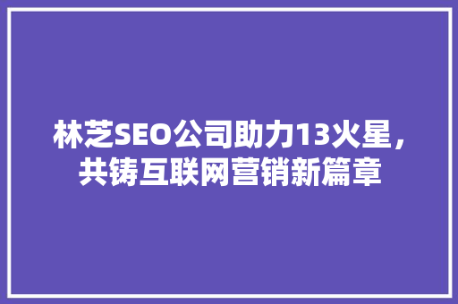 林芝SEO公司助力13火星，共铸互联网营销新篇章
