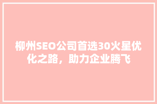 柳州SEO公司首选30火星优化之路，助力企业腾飞