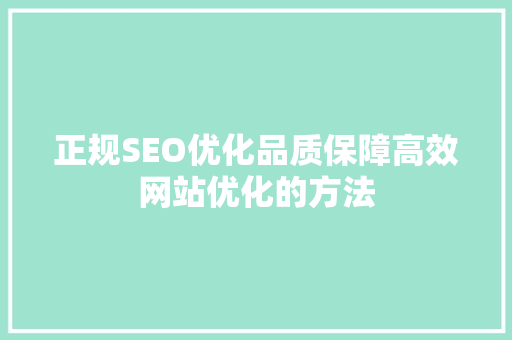 正规SEO优化品质保障高效网站优化的方法