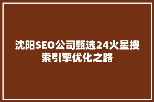 沈阳SEO公司甄选24火星搜索引擎优化之路