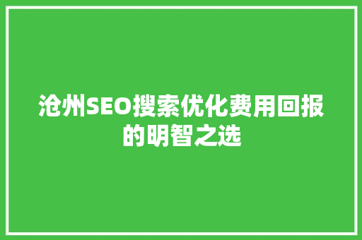 沧州SEO搜索优化费用回报的明智之选