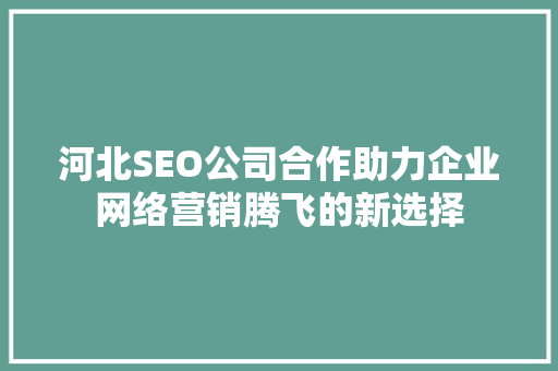 河北SEO公司合作助力企业网络营销腾飞的新选择