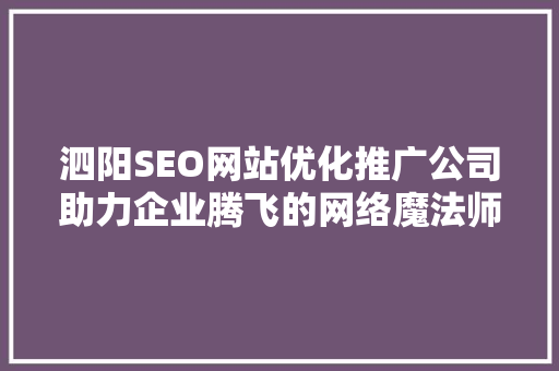泗阳SEO网站优化推广公司助力企业腾飞的网络魔法师