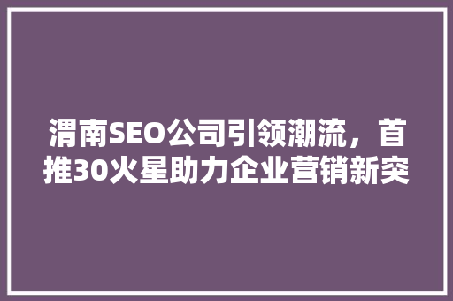 渭南SEO公司引领潮流，首推30火星助力企业营销新突破