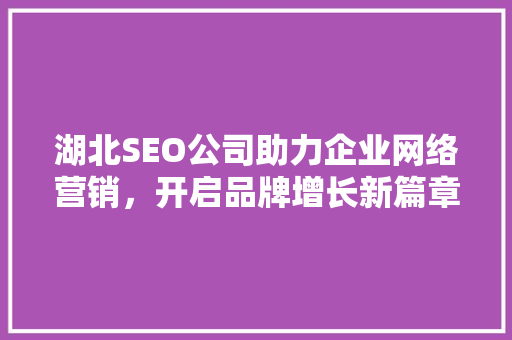 湖北SEO公司助力企业网络营销，开启品牌增长新篇章
