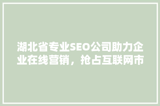湖北省专业SEO公司助力企业在线营销，抢占互联网市场先机