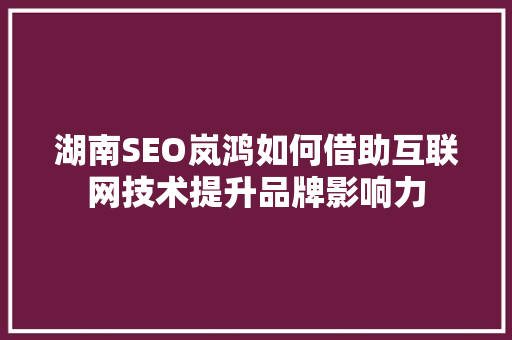 湖南SEO岚鸿如何借助互联网技术提升品牌影响力