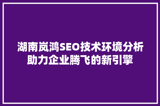 湖南岚鸿SEO技术环境分析助力企业腾飞的新引擎