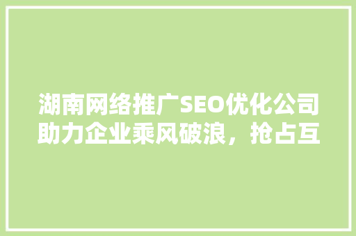 湖南网络推广SEO优化公司助力企业乘风破浪，抢占互联网市场制高点
