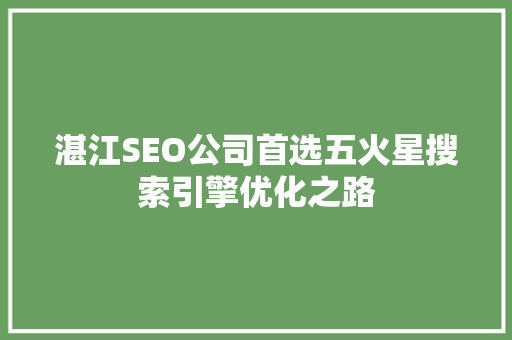 湛江SEO公司首选五火星搜索引擎优化之路