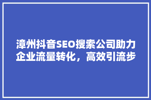 漳州抖音SEO搜索公司助力企业流量转化，高效引流步骤