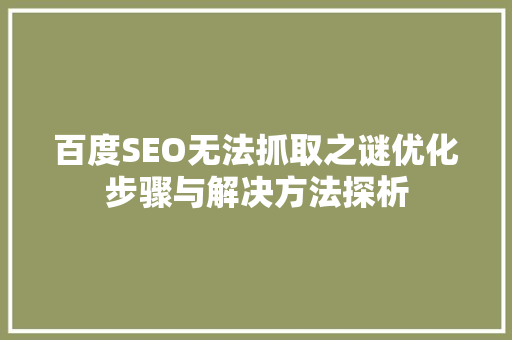 百度SEO无法抓取之谜优化步骤与解决方法探析