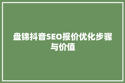 盘锦抖音SEO报价优化步骤与价值