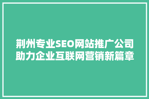 荆州专业SEO网站推广公司助力企业互联网营销新篇章