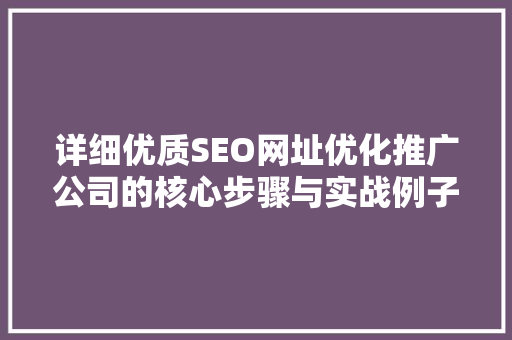 详细优质SEO网址优化推广公司的核心步骤与实战例子