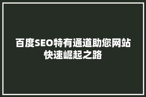 百度SEO特有通道助您网站快速崛起之路
