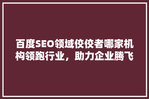 百度SEO领域佼佼者哪家机构领跑行业，助力企业腾飞