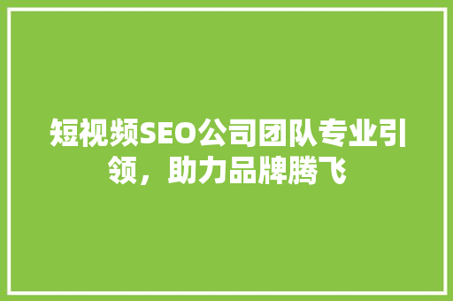 短视频SEO公司团队专业引领，助力品牌腾飞