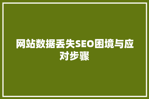 网站数据丢失SEO困境与应对步骤
