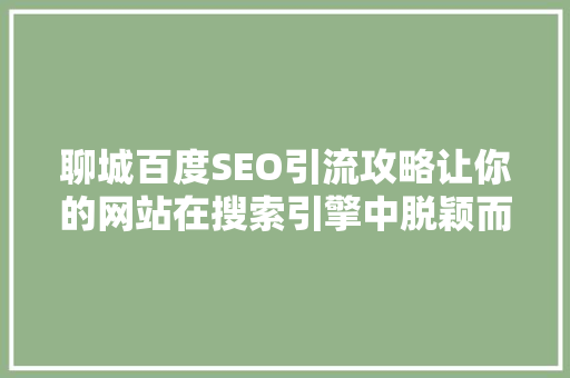 聊城百度SEO引流攻略让你的网站在搜索引擎中脱颖而出
