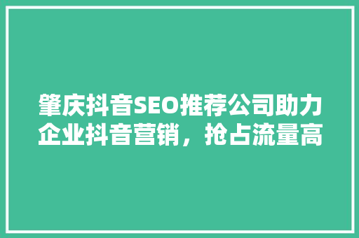 肇庆抖音SEO推荐公司助力企业抖音营销，抢占流量高地