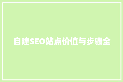 自建SEO站点价值与步骤全