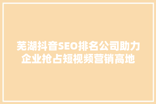芜湖抖音SEO排名公司助力企业抢占短视频营销高地