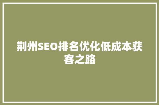 荆州SEO排名优化低成本获客之路