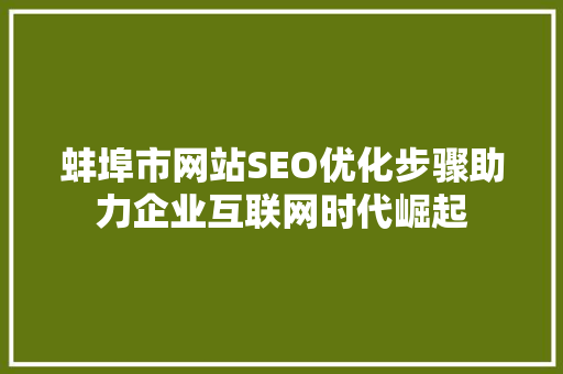 蚌埠市网站SEO优化步骤助力企业互联网时代崛起
