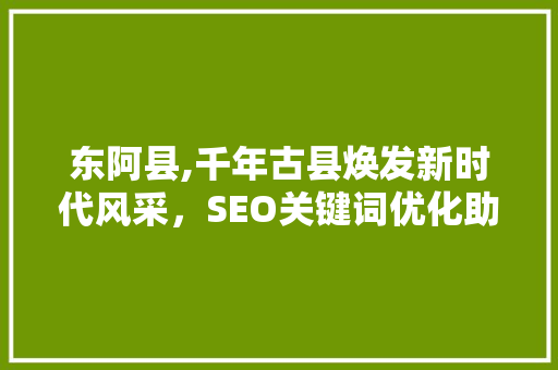 东阿县,千年古县焕发新时代风采，SEO关键词优化助力发展