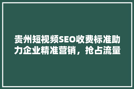 贵州短视频SEO收费标准助力企业精准营销，抢占流量高地