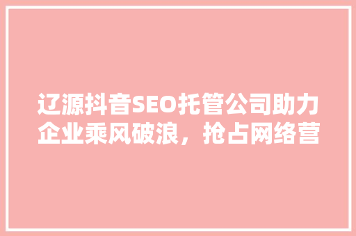 辽源抖音SEO托管公司助力企业乘风破浪，抢占网络营销制高点