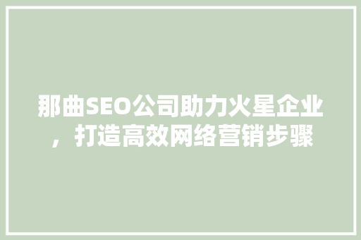 那曲SEO公司助力火星企业，打造高效网络营销步骤