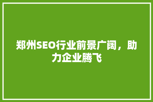 郑州SEO行业前景广阔，助力企业腾飞