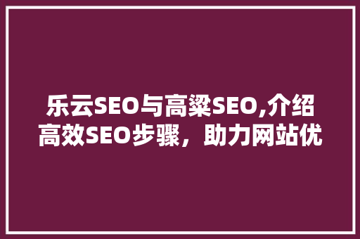 乐云SEO与高粱SEO,介绍高效SEO步骤，助力网站优化