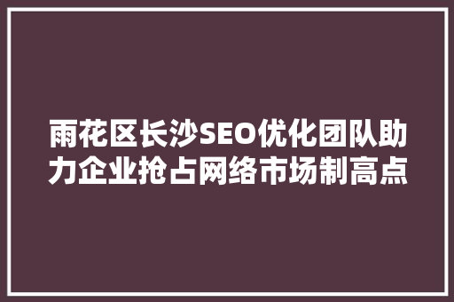 雨花区长沙SEO优化团队助力企业抢占网络市场制高点  第1张