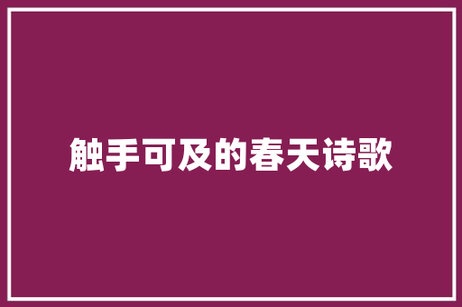 黄冈SEO公司推荐火星SEO的独特魅力与卓越表现