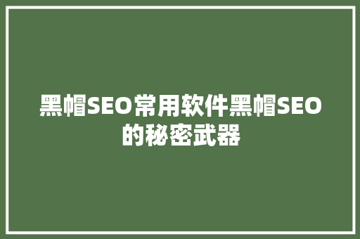 黑帽SEO常用软件黑帽SEO的秘密武器