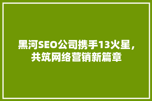 黑河SEO公司携手13火星，共筑网络营销新篇章