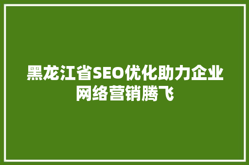 黑龙江省SEO优化助力企业网络营销腾飞