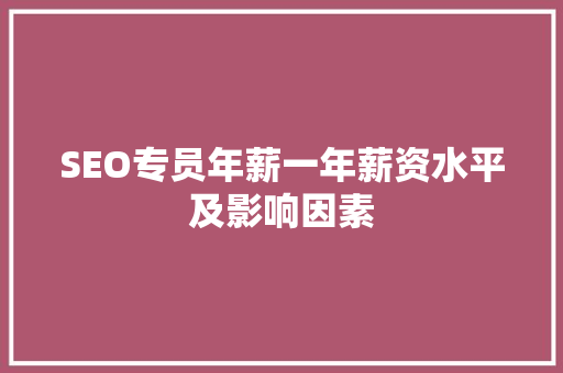 SEO专员年薪一年薪资水平及影响因素  第1张