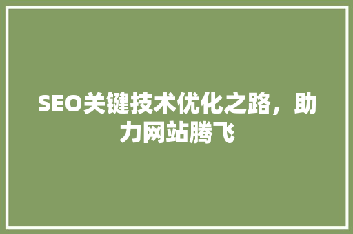 SEO关键技术优化之路，助力网站腾飞