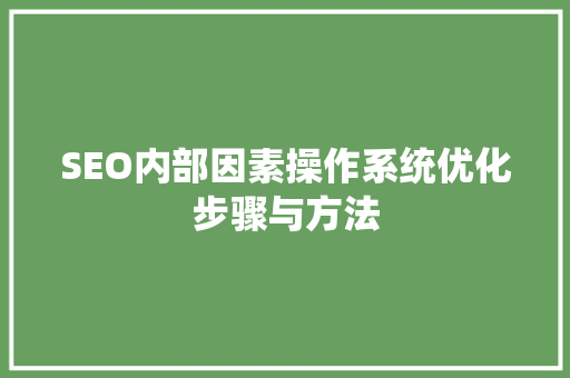 SEO内部因素操作系统优化步骤与方法