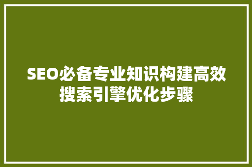 SEO必备专业知识构建高效搜索引擎优化步骤