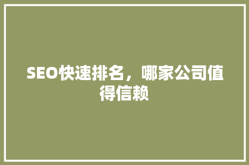 SEO快速排名，哪家公司值得信赖  第1张