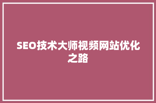SEO技术大师视频网站优化之路